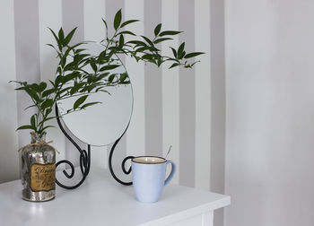 Close-up of potted plant on table at home