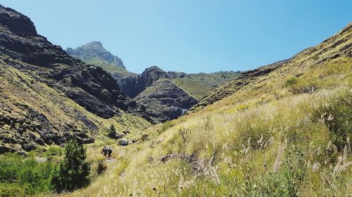 Scenic view of landscape against clear sky