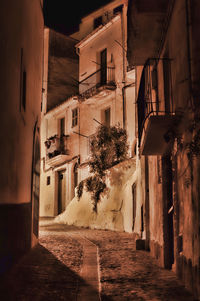 Empty alley amidst buildings in city at night