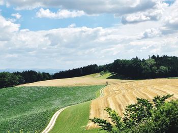 Scenic view of field against sky