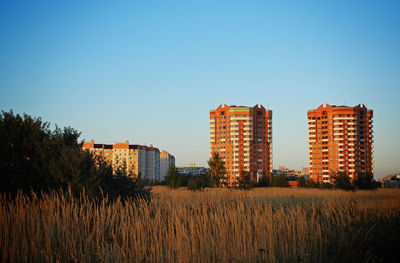 Scenic view of field against clear blue sky