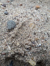 Close-up of pebbles