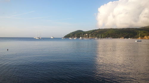 Scenic view of sea against sky