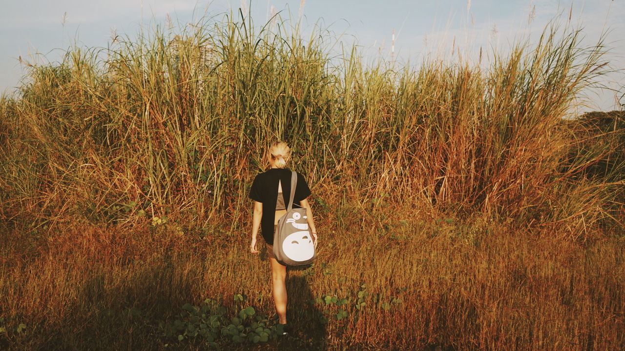 lifestyles, grass, leisure activity, field, standing, rear view, men, plant, tranquility, nature, person, casual clothing, sky, landscape, photography themes, growth, full length, outdoors