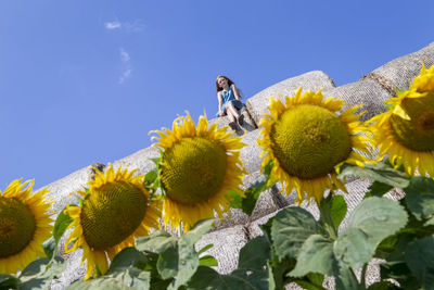Girl sitting on top of the hay bale with sunflowers on the foreground. generation z.