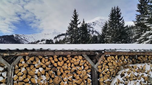 Stack of logs on snow covered mountains against sky