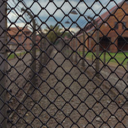 Close-up of chainlink fence