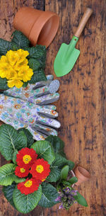 High angle view of various flowers on table