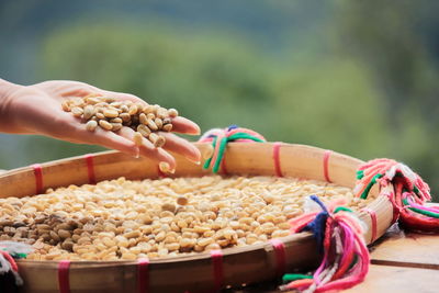 Close-up of hand holding food