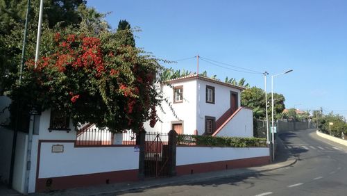 View of trees and buildings against sky