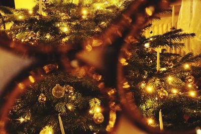 Close-up of illuminated christmas tree at night