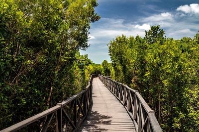 Empty footbridge by trees against sky