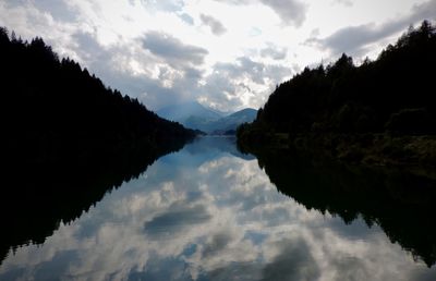 Reflection of trees in lake