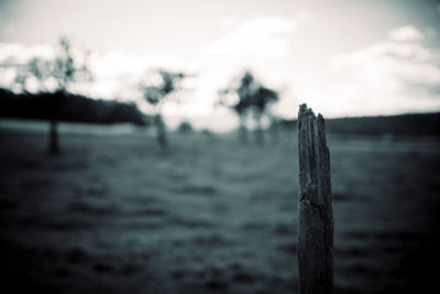 Close-up of wooden fence on field against sky