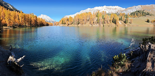 Scenic view of lake by trees in forest against sky