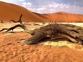 Driftwood on sand dune in desert against sky