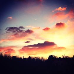 Silhouette of trees at sunset