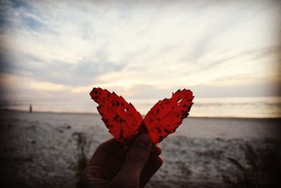 Close-up of hand holding leaf against sky