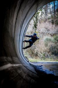 Reflection of trees in water