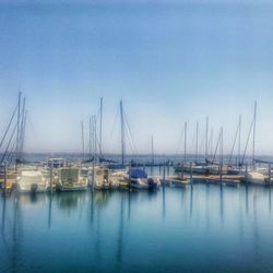 Sailboats moored at harbor against clear sky