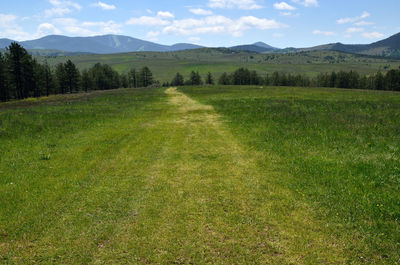 Path in grass to hills under spring clouds