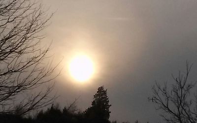 Low angle view of bare trees against sky at sunset