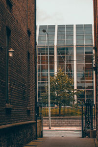 View of building through window