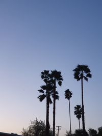 Low angle view of coconut palm trees against clear sky