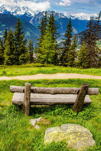 Hikers bench to take a view