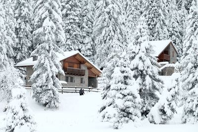 Snow covered landscape against sky