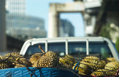 Close-up of durians transport in car