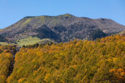 Scenic view of landscape against clear sky