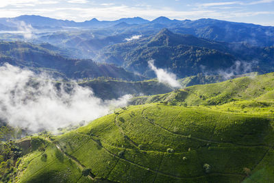 Scenic view of farms against sky