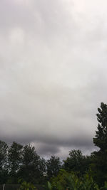 Low angle view of trees against cloudy sky