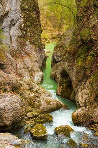 Stream flowing through rocks in forest