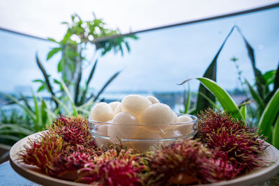 Close-up of fruits on table