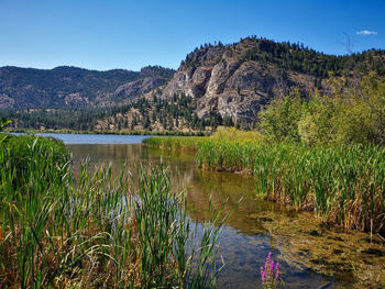 Scenic view of lake vaseux against sky