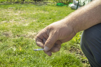 Cropped hand of man holding grass