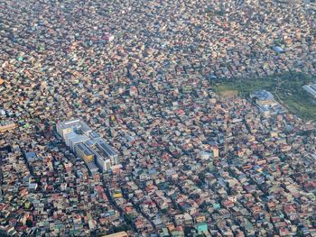 High angle view of petals and buildings in city