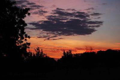 Silhouette trees against dramatic sky during sunset