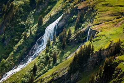 Scenic view of waterfall in forest