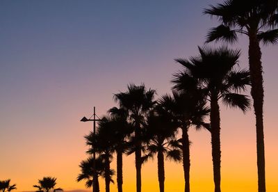 Silhouette palm trees against sky during sunset