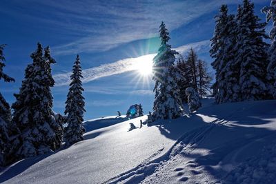 Scenic view of snow covered trees against sky