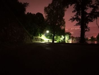 Road amidst trees against sky at night