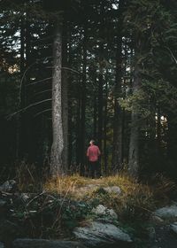 Rear view of woman walking by trees in forest