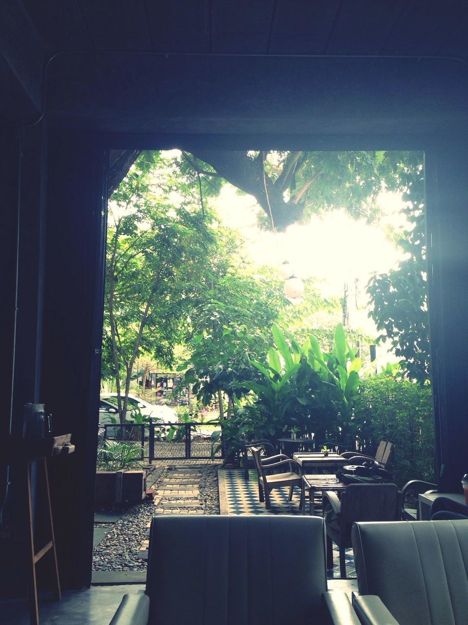 indoors, tree, window, glass - material, built structure, sunlight, chair, architecture, transparent, day, growth, house, table, looking through window, building exterior, city, sky, car, empty, nature