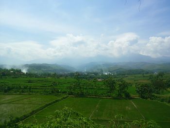 Scenic view of agricultural field against sky