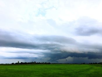 Scenic view of agricultural field against sky