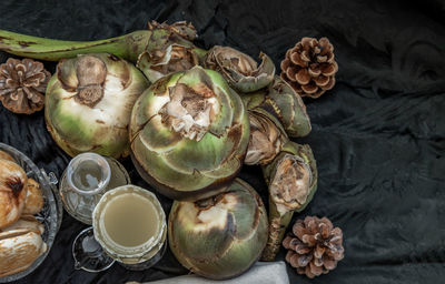 High angle view of shells on table