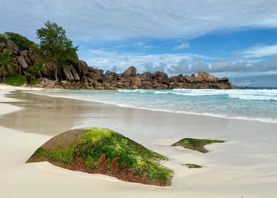 Paradise beach in the indian ocean